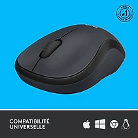 Souris optique sans fil de 1000 ppp M220 Silent de Logitech - Graphite