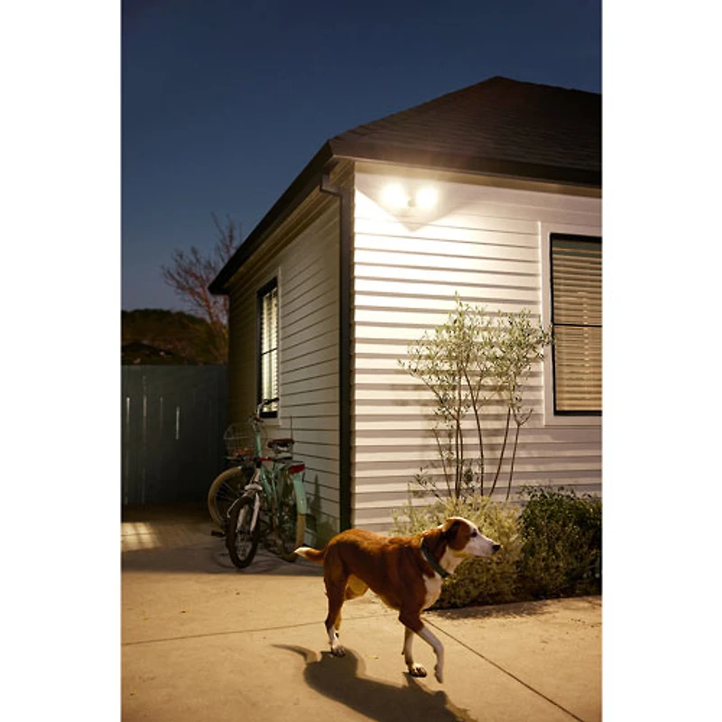 Caméra de surveillance extérieure avec fil et projecteur d'illumination Nest Cam de Google