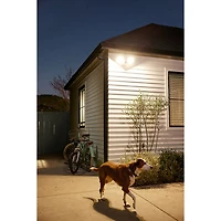 Caméra de surveillance extérieure avec fil et projecteur d'illumination Nest Cam de Google