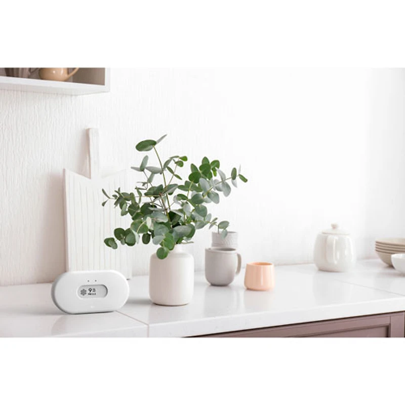 Airthings View Plus Air Quality Monitor