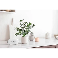 Airthings View Plus Air Quality Monitor
