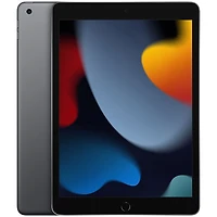iPad 10,2 po 256 Go avec Wi-Fi d'Apple (9e génération) - Gris cosmique