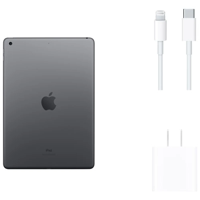 iPad 10,2 po 256 Go avec Wi-Fi d'Apple (9e génération) - Gris cosmique