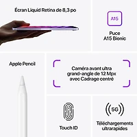 iPad mini 8,3 po 256 Go avec Wi-Fi et 5G (6e génération) d'Apple - Argenté