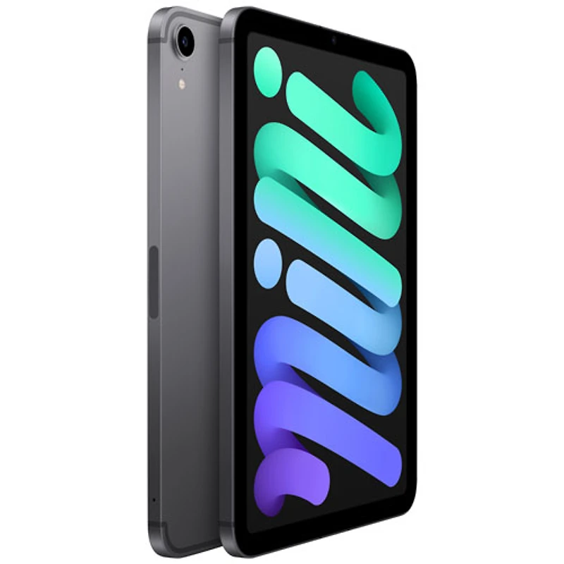 Apple iPad mini 8.3" 256GB with Wi-Fi & 5G (6th Generation) - Space Grey