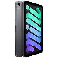 iPad mini 8,3 po 256 Go avec Wi-Fi d'Apple (6e génération) - Gris cosmique