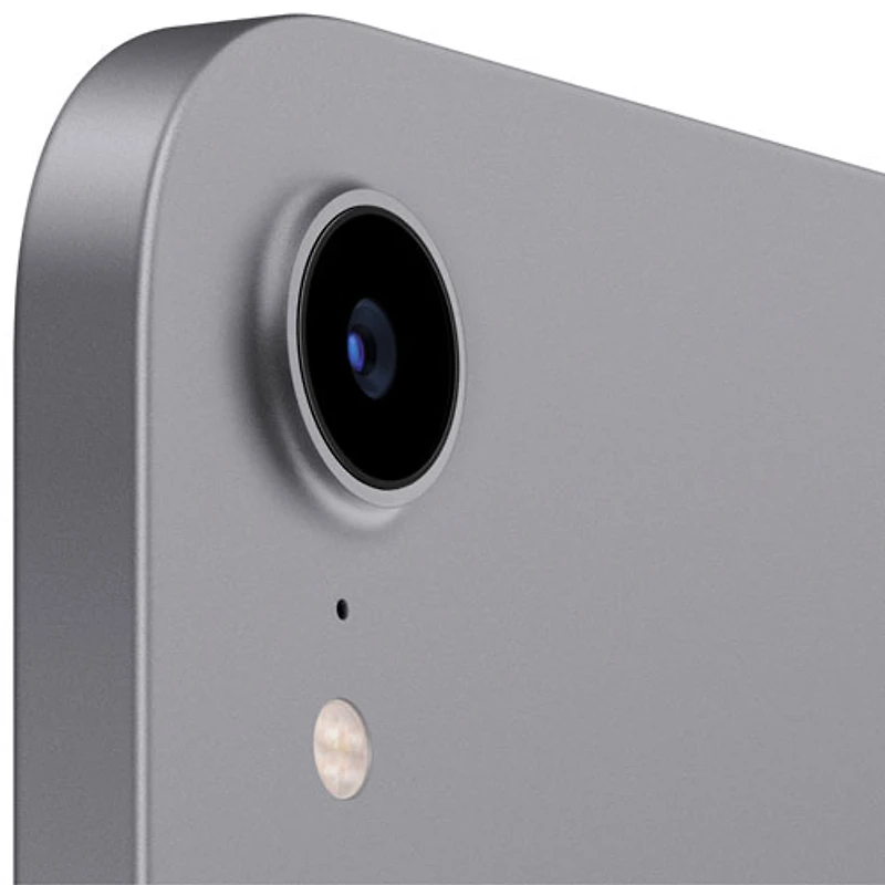 iPad mini 8,3 po 256 Go avec Wi-Fi d'Apple (6e génération) - Gris cosmique