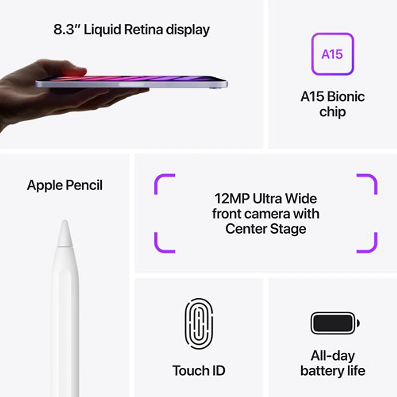 iPad mini 8,3 po 256 Go avec Wi-Fi d'Apple (6e génération) - Gris cosmique
