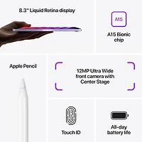iPad mini 8,3 po 256 Go avec Wi-Fi d'Apple (6e génération) - Gris cosmique