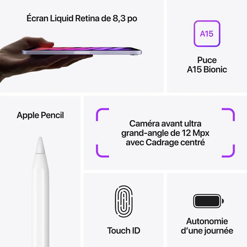 iPad mini 8,3 po 256 Go avec Wi-Fi d'Apple (6e génération) - Gris cosmique