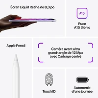 iPad mini 8,3 po 256 Go avec Wi-Fi d'Apple (6e génération) - Gris cosmique