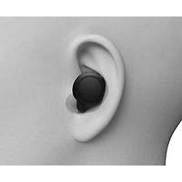 Écouteurs boutons 100 % sans fil à isolation sonore WF-C500 de Sony - Noir