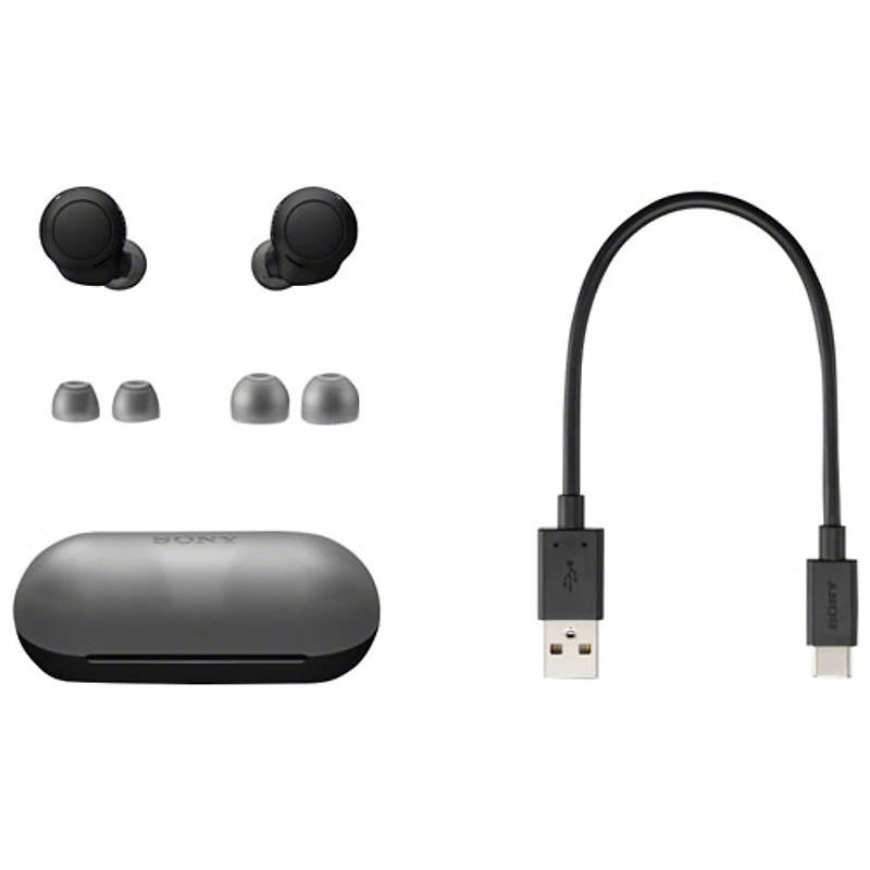 Écouteurs boutons 100 % sans fil à isolation sonore WF-C500 de Sony - Noir