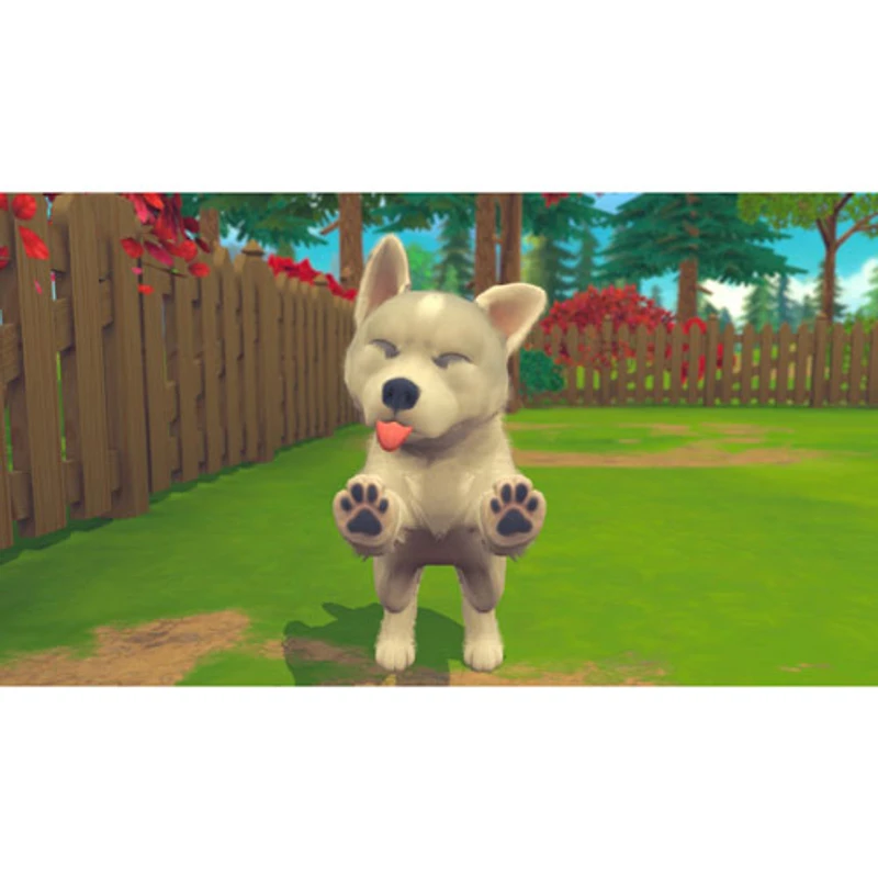 My Universe: Puppies and Kittens (Switch)