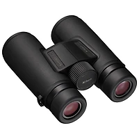 Nikon Monarch M5 10 x 42 Binoculars