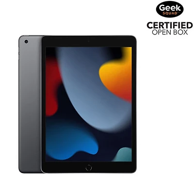 Boîte ouverte - iPad 10,2 po 256 Go d'Apple avec Wi-Fi (9e génération) - Gris cosmique