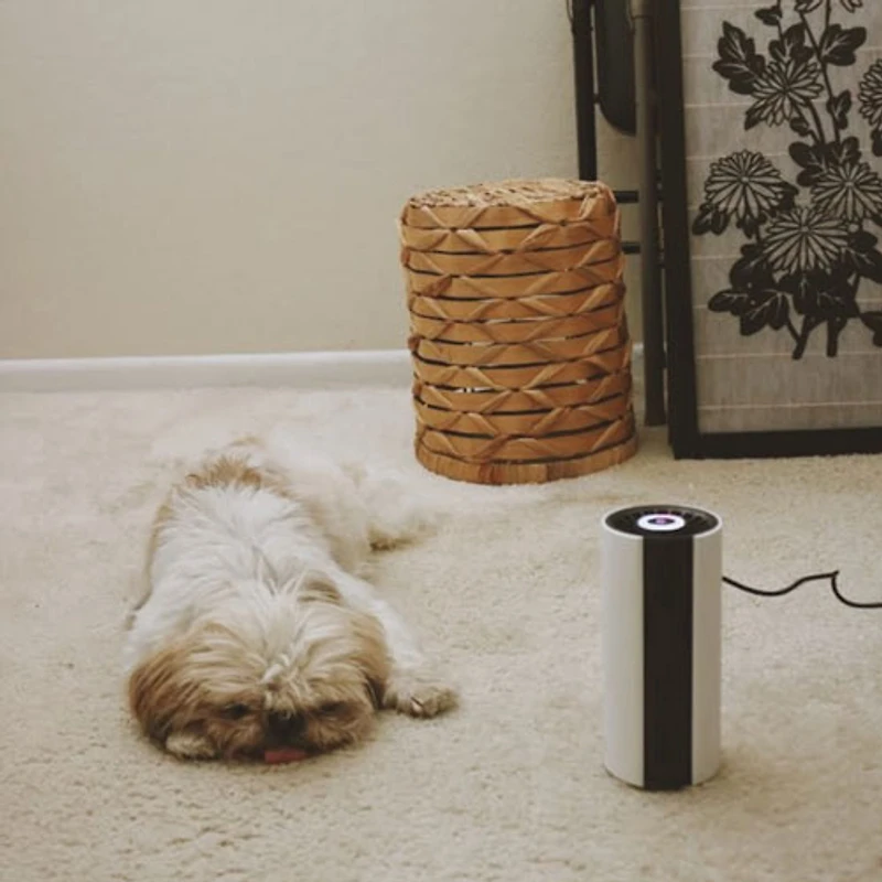 Purificateur d'air portatif Cyclone O2 de GekoGear avec filtre HEPA - Blanc