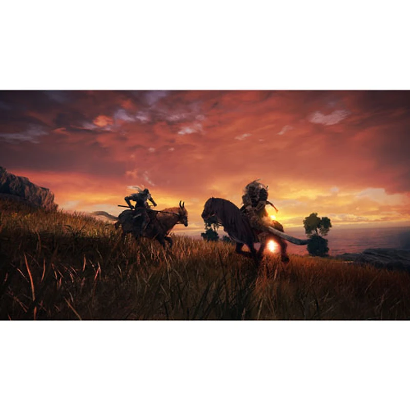 Elden Ring (Xbox Series X / Xbox One)