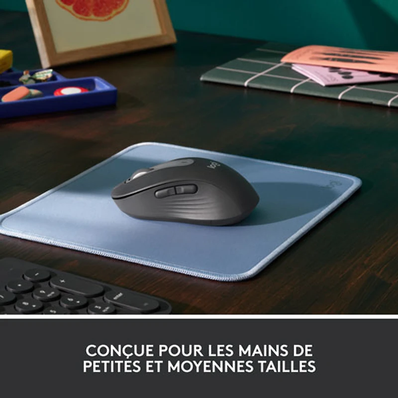 Logitech Signature M650 Wireless Optical Mouse - Graphite