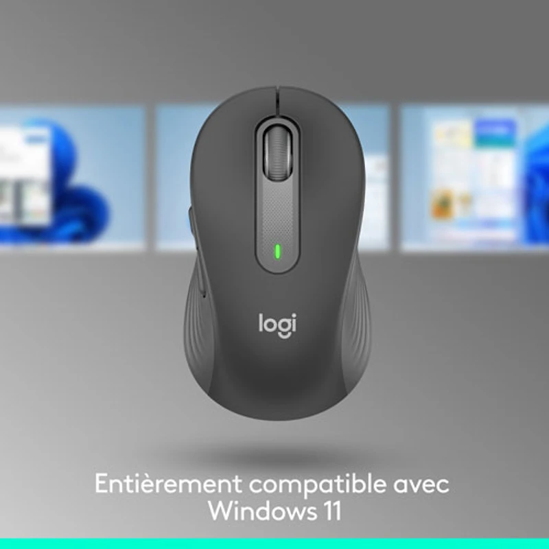 Souris optique sans fil Signature M650 L (large) de Logitech - Graphite