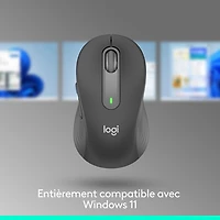 Souris optique sans fil Signature M650 L (large) de Logitech - Graphite