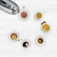 Bouilloire électrique numérique PerfecTemp de Cuisinart - 1,7 l - Acier inoxydable