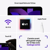 iPad Air 10,9 po 64 Go avec Wi-Fi d'Apple (5e génération) - Rose