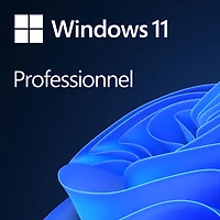 Microsoft Windows 11 Pro (PC) - Téléchargement numérique