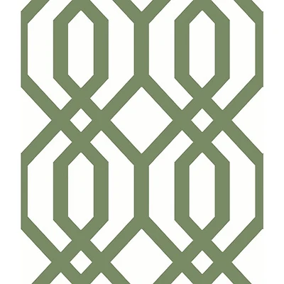 Papier peint autocollant avec motif de treillis d'abri de jardin de RoomMates - Vert
