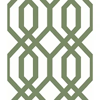 Papier peint autocollant avec motif de treillis d'abri de jardin de RoomMates - Vert