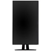 Moniteur 32 po Ultra HD 4K 60 Hz 5 ms gris à gris DEL de Viewsonic (VP3256-4K) - Noir