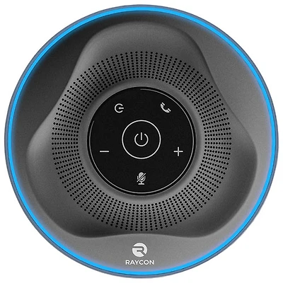 Haut-parleur sans fil Bluetooth The Work de Raycon - Gris/Noir