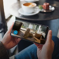 Caméra IP 1080p d'intérieur Wi-Fi Mini de Blink - Lot de 2 - Noir