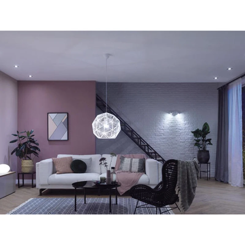 Ampoule DEL intelligente Hue A19 de Philips - Ambiance blanche