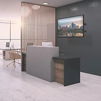 Support mural articulé antivol de Kanto pour téléviseur de 37 à 65 po