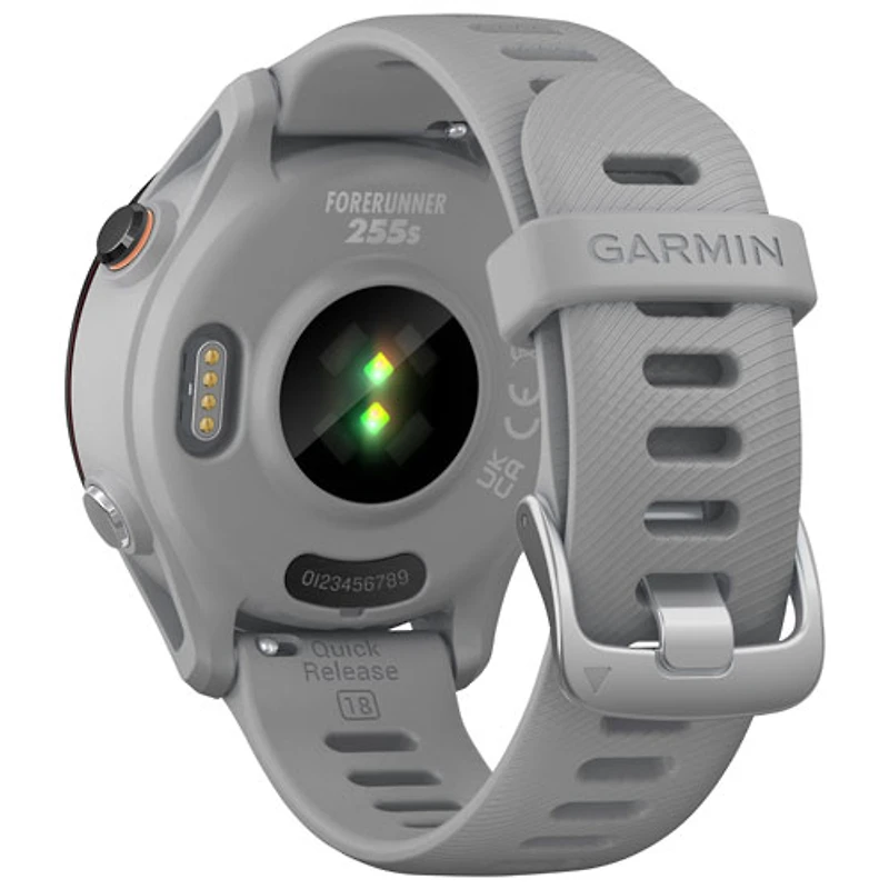 Montre GPS de 41 mm Forerunner 255S avec moniteur de fréquence cardiaque - Gris poudre