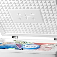 Insignia 3.5 Cu. Ft. Garage Ready Chest Freezer (NS-CZ35WH3)