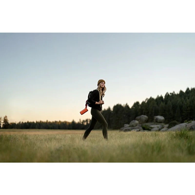 Haut-parleur sans fil Bluetooth étanche SRS-XE300 de Sony - Gris pâle