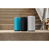Haut-parleur sans fil Bluetooth étanche SRS-XE300 de Sony - Noir