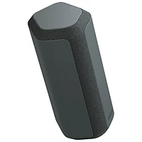 Haut-parleur sans fil Bluetooth étanche SRS-XE300 de Sony - Noir