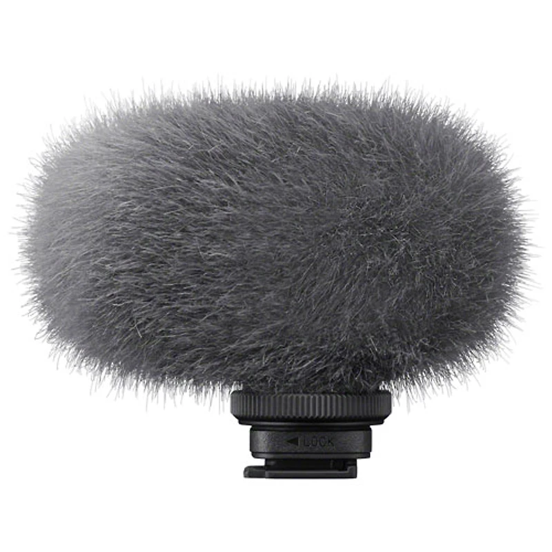 Microcanon pour vlogueurs ECM-G1 de Sony pour appareil photo