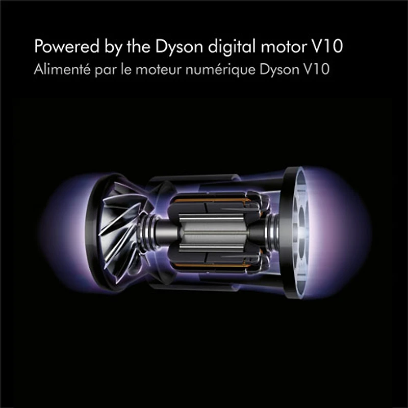 Dyson V10 Animal+ Cordless Stick Vacuum - Sprayed Nickel/Iron