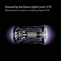 Dyson V10 Animal+ Cordless Stick Vacuum - Sprayed Nickel/Iron