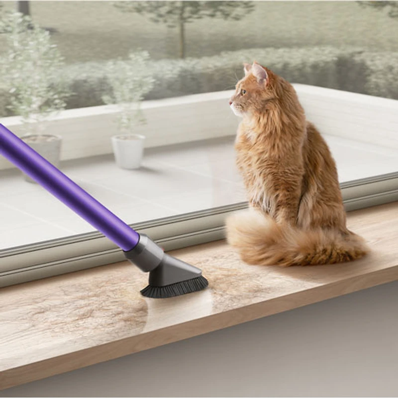 Aspirateur-balai sans fil V10 Animal+ de Dyson - Nickel vaporisé/Fer