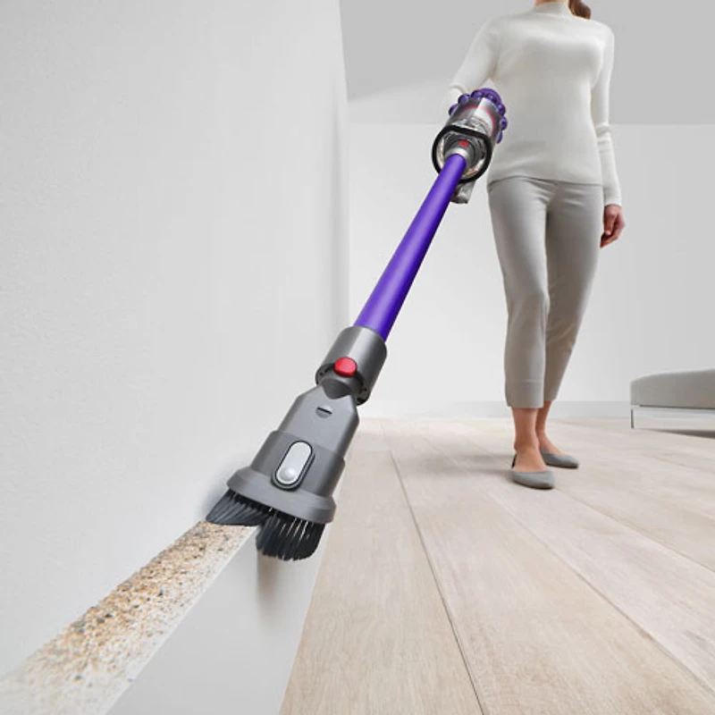 Aspirateur-balai sans fil V10 Animal+ de Dyson - Nickel vaporisé/Fer