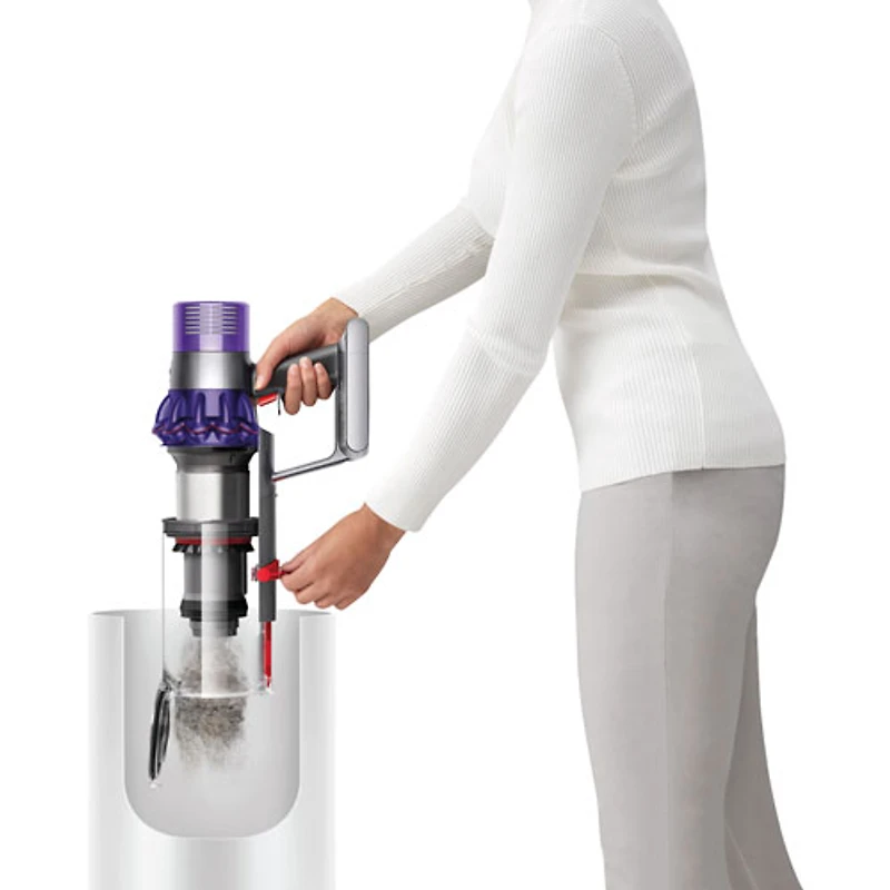 Aspirateur-balai sans fil V10 Animal+ de Dyson - Nickel vaporisé/Fer