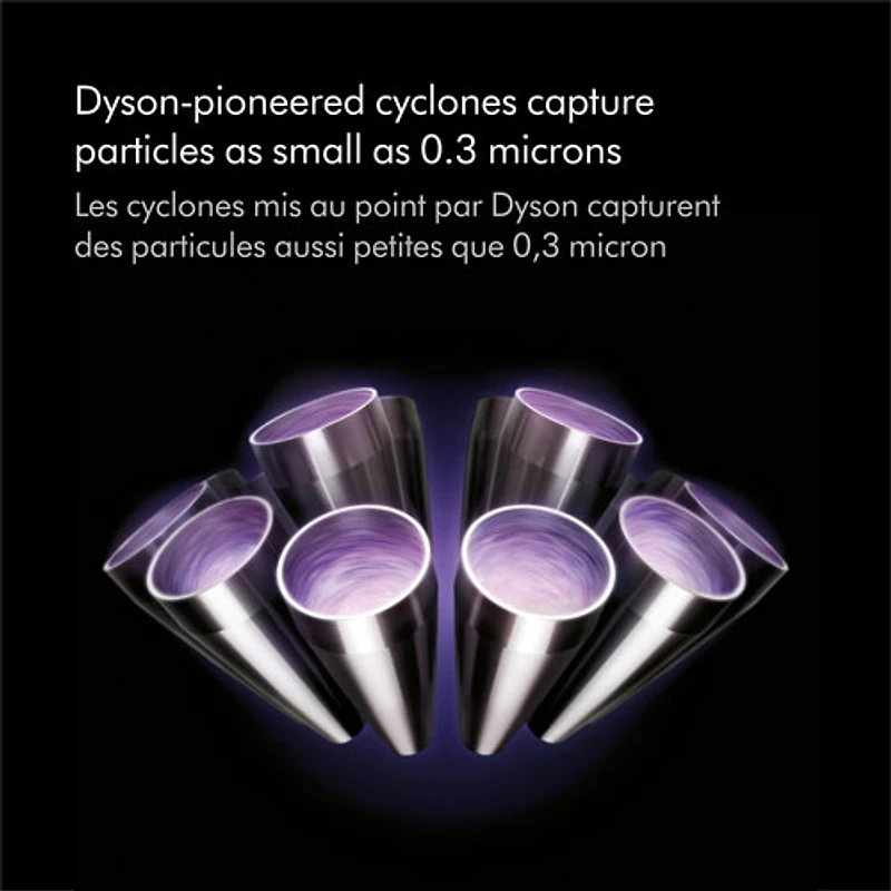 Dyson V10 Animal+ Cordless Stick Vacuum - Sprayed Nickel/Iron