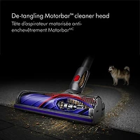 Dyson V10 Animal+ Cordless Stick Vacuum - Sprayed Nickel/Iron