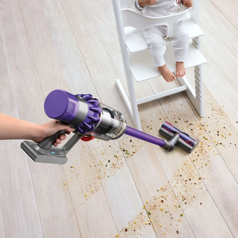 Aspirateur-balai sans fil V10 Animal+ de Dyson - Nickel vaporisé/Fer