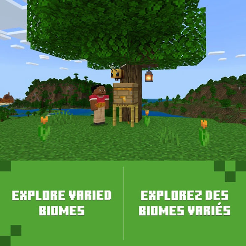 Minecraft (Xbox Series X|S/Xbox One) - Téléchargement numérique